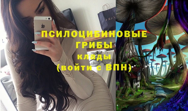 меф Елизово