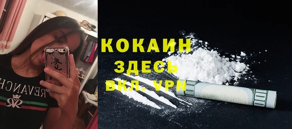 мяу мяу мука Ельня