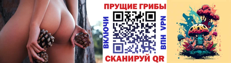 Купить закладки  Нерюнгри  Псилоцибиновые грибы GOLDEN TEACHER 